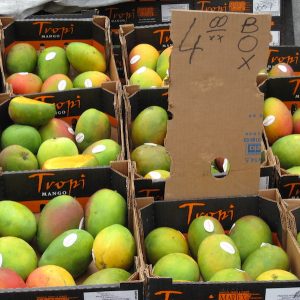 mangoes with $4/box sign